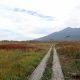 尾瀬の紅葉で見ごろや混雑は？駐車場や服装もご紹介