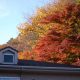 高尾山紅葉の混雑はどれ位？空いている時間帯やコースは？