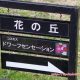 昭和記念公園のコスモス 花の丘の開花状況を見てきた感想をルポ