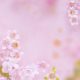 東京・多摩のお花見スポット・桜情報まとめ